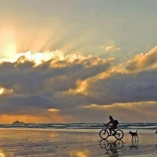 CICLOTURISMO RESERVA ECOLÓGICA DA JURÉIA - Imagem 4